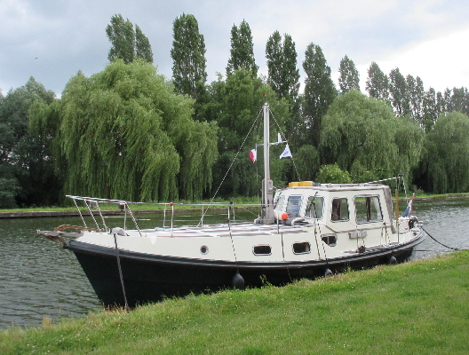 FiftyMotormast2019