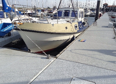 PlijlstaartProfielSchelpwit PlijlstaartProfielSchelpwit